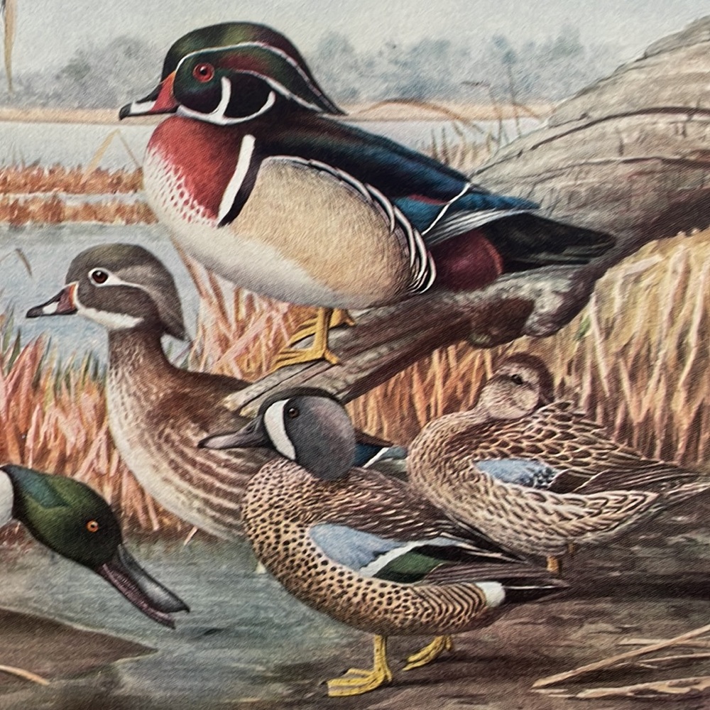🖤5/$25 Antique Ornithological Bird Print Original Ducks